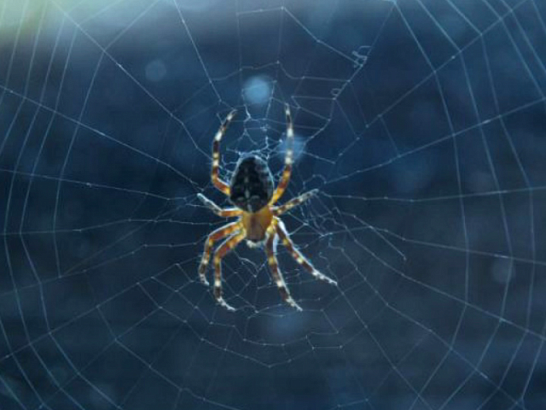 Новости за 90 секунд: кто достроит станцию обезжелезивания, останется ли Михаил Берников в своем кресле и опасные пауки в Орловской области 