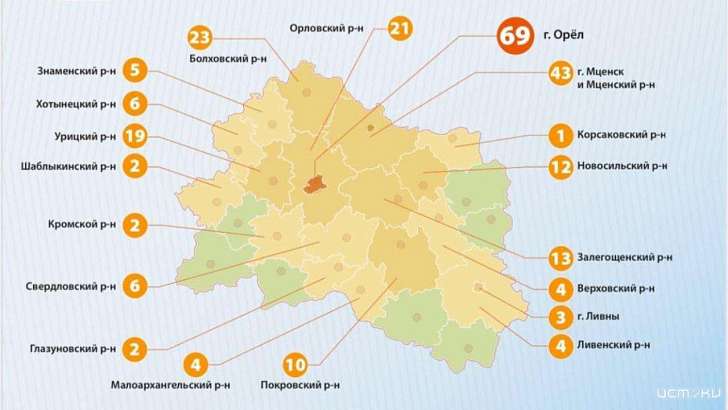 Все новые случаи COVID-19 выявлены не в Орле, а в районах области