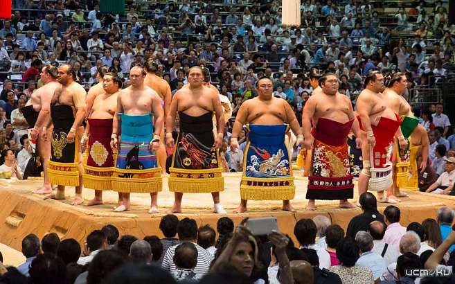 Орёл примет чемпионат и первенство России по сумо