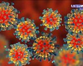 «Предупреждён — значит вооружён». Поговорим о кори — опасном, но предотвратимом заболевании