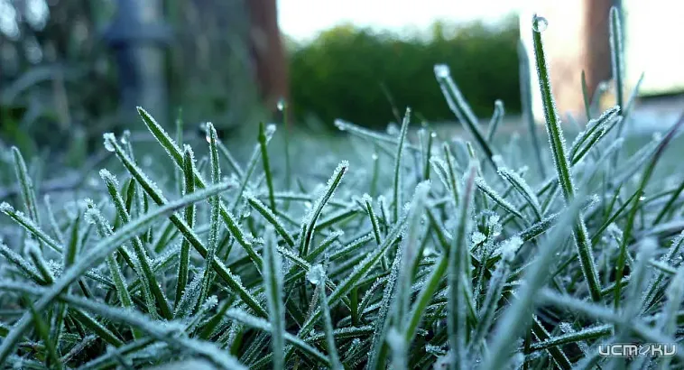 Внимание, заморозки! Орловщину ждет похолодание
