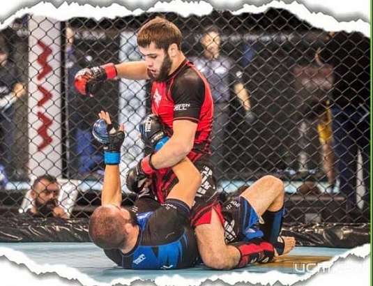 Орёл примет Кубок области по ММА