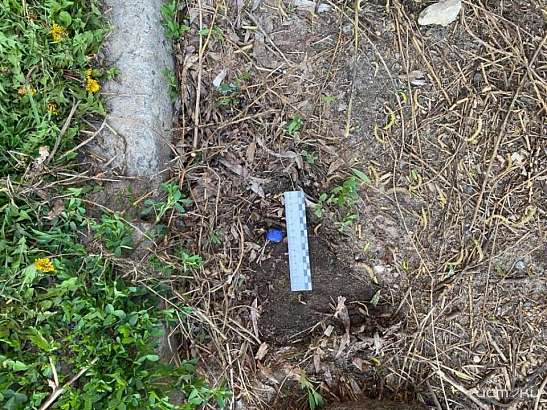 В Орле поймали двух иностранцев с героином