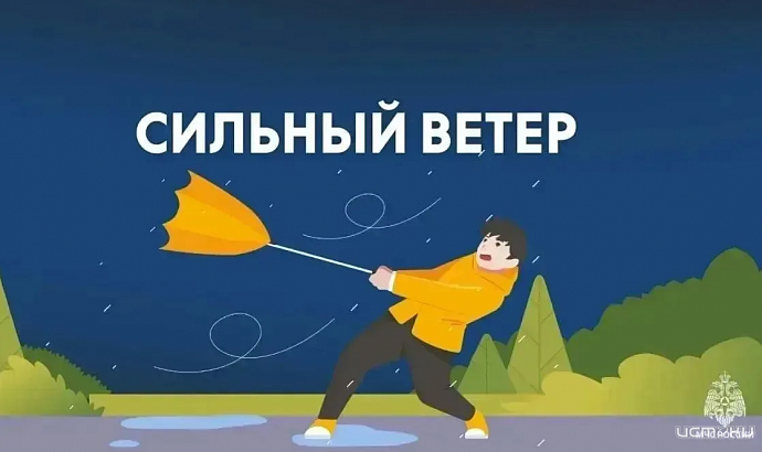 Орловское МЧС экстренно предупреждает о сильном ветре