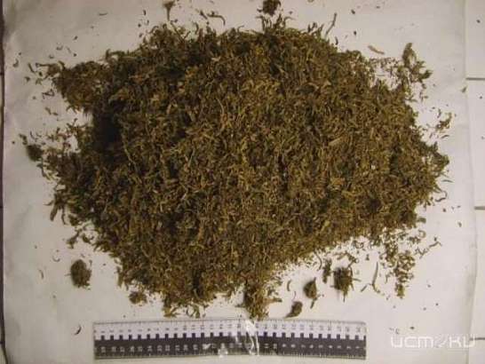 Украинский спортсмен продавал наркотики в Орле