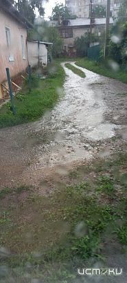 «Истоки» выбрали нового народного корреспондента