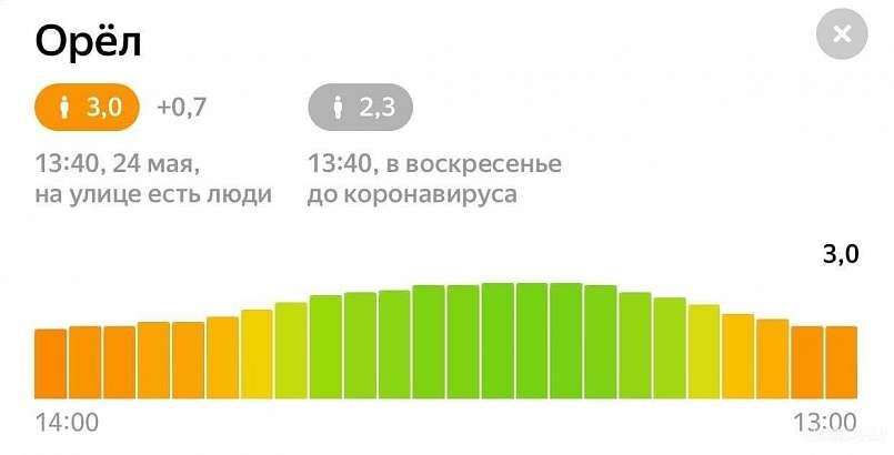 Несмотря на холодную погоду и самоизоляцию, орловчане продолжают разгуливать по городу