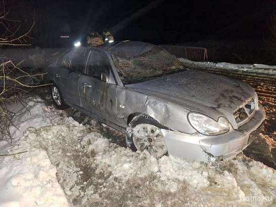 На Орловщине легковушка с моста упала в реку. Молодой водитель погиб