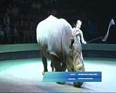 «Планета Цирка» приехала в Орел