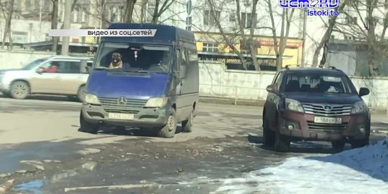Видео: в Орле замечен микроавтобус с «озверевшими водителями»