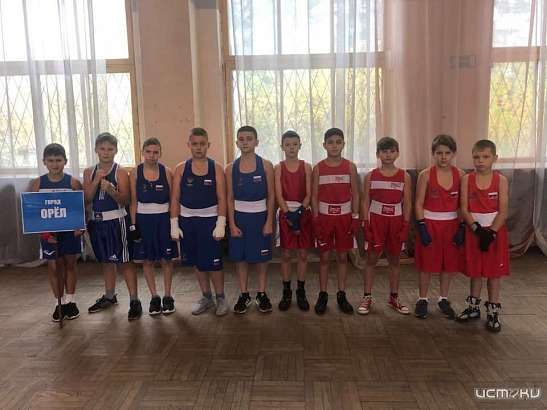 Орловчане стали победителями и призерами V открытого турнира по боксу, посвящённого памяти тренера Петра Антипова 