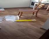 ВИДЕО: в Орле сироте выдали квартиру, через месяц потек потолок