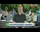 В День ВДВ пьяный мужчина ударил корреспондента в прямом эфире