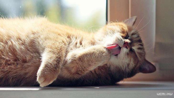 В воскресенье в Орле будет солнечно, без осадков