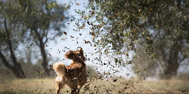 В Орловской области ожидаются порывы ветра до 18 м/с