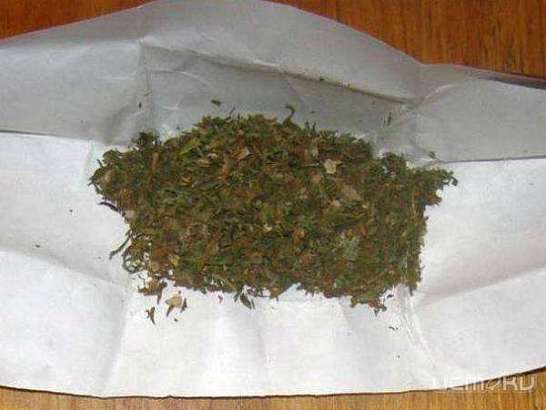 У жителя Ливенского района нашли более килограмма марихуаны