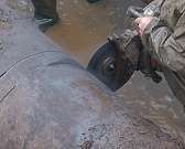 В деревне Овсянниково орловчане все вокресенье бор