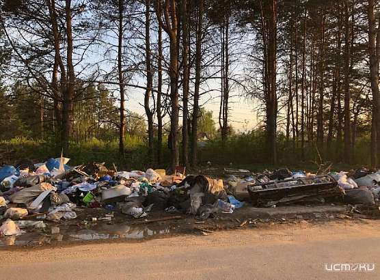 За свалку возле Светлой Жизни в Орле наказали главу горадминистрации и начальника УКХ