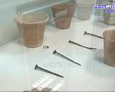 В Свердловском районе археологи отыскали золотой медальон орловских князей Куракиных