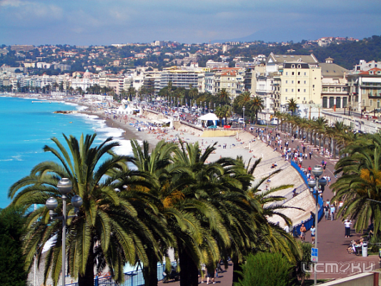 Услуги компании Cofrance (Кофранс) из Ниццы