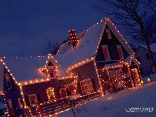 Как организовать Новогодний праздник