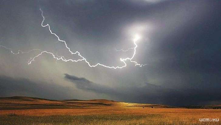 Грозы и шквалистый ветер ожидаются сегодня в Орле