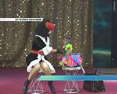 Львы-наездники, робот Титан и многое другое! В Орел приехал Евроцирк