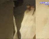 Очевидцы: в орловской соцзащите пенсионерку насильно заставили мыть полы в туалете