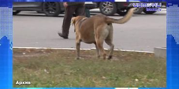 Экспресс - новости: Орловщина потеряла талантливого земляка