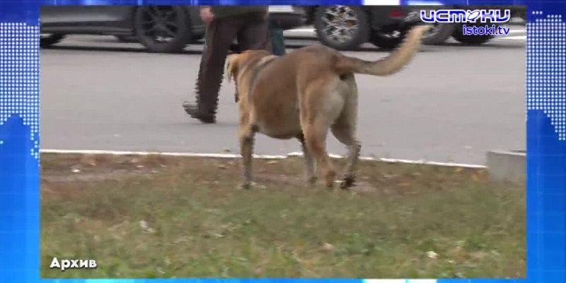 Экспресс - новости: Орловщина потеряла талантливого земляка