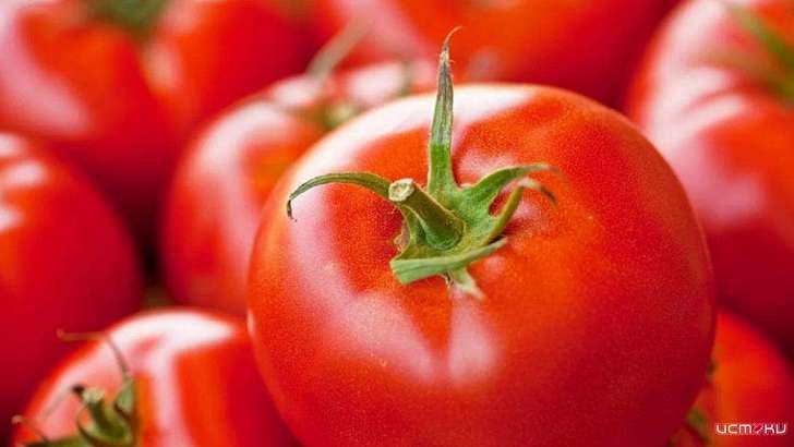 +35,8 %: в Орловской области рекордно подорожали помидоры