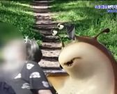 Красота - в глазах смотрящего