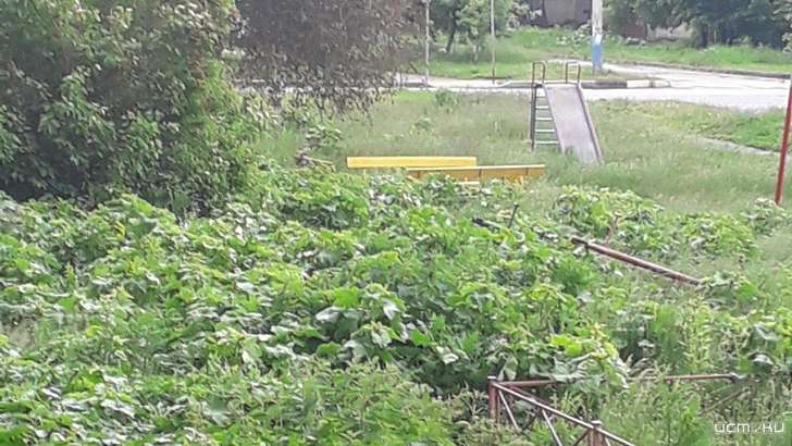 Орловчане боятся потерять детей на игровой площадке