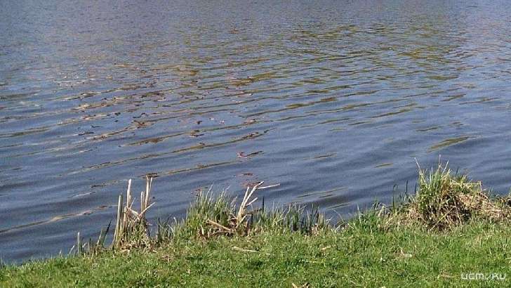 В Кромах из пруда вытащили труп мужчины