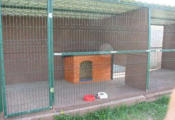 О плюсах выбора зоогостиницы