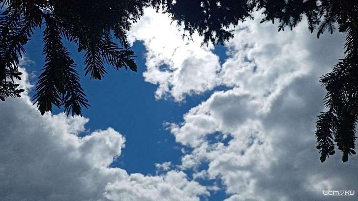 Дождь и всего +11 °C: погода в Орле в последний рабочий день этой недели