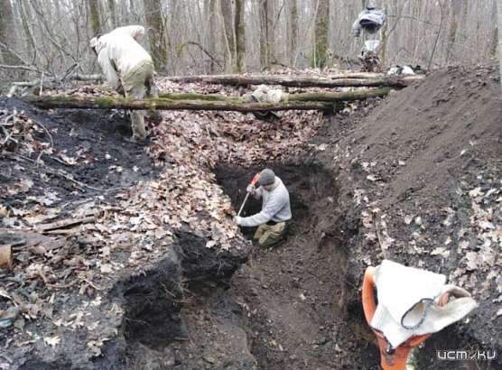 Под Орлом нашли обломки советского штурмовика и останки авиатора