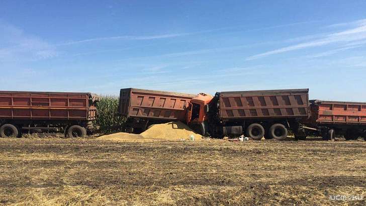 Два КамАЗа столкнулись в поле на Орловщине