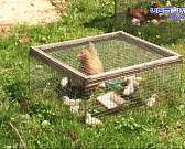 Амчане недовольны соседством с мусорным полигоном1623855307