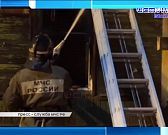 Экспресс-новости: Клычков показал федеральным экспертам зубров, в центре Орла запретили парковку, глава горсовета пригрозил перевозчикам отменой повыш...