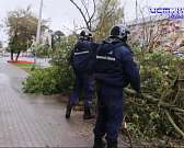 Циклон "Патрик" унес из Орловщины тепло, а принес холода и ураганный ветер со снегом. Последствия непогоды на выходных еще устраняют