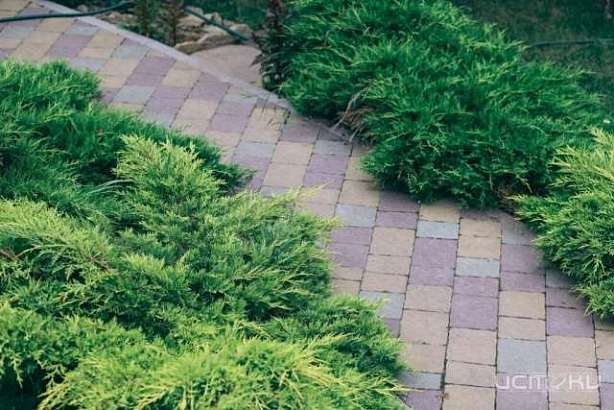 Ландшафтный дизайн загородного дома как искусство