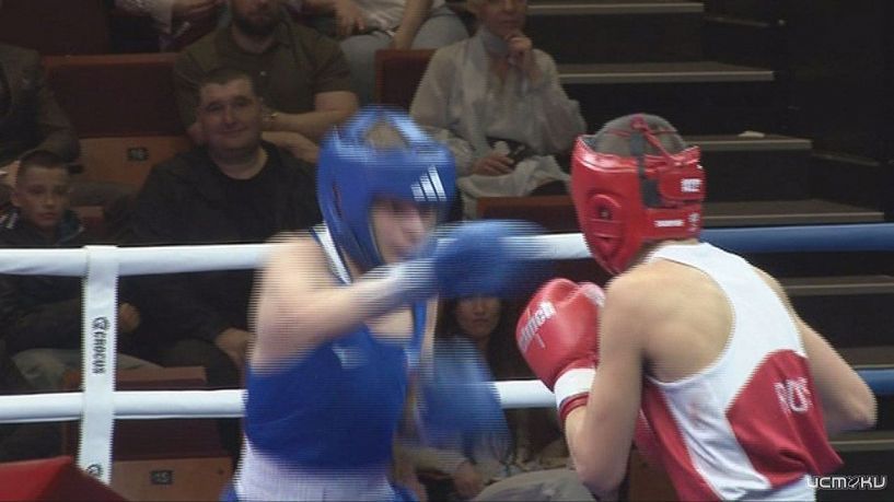 Орёл принимает крупный турнир по боксу. Среди зрителей участники и победитель шоу "Титаны" 