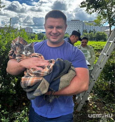 Орловские спасатели помогли кошке спуститься с дерева