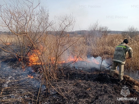 Орловские пожарные за сутки четырежды тушили возгорания сухой травы 