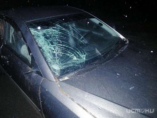 В Орловской области машина насмерть сбила 35-летнего мужчину