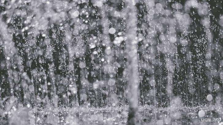 Сегодня в Орле ожидаются хмурая погода и дождь со снегом