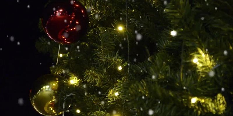 С Новым 2026 годом!