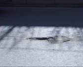 Весна в самом разгаре, а в Орле традиционно не спешат с ремонтом дорог