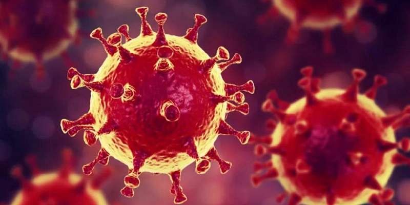 Роспотребнадзор: все участники форума в Орле прошли тест на коронавирус